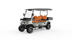 V4H Utility EV | 4-Passenger