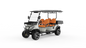 V4H Utility EV | 4-Passenger