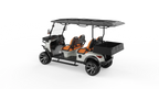 V4H Utility EV | 4-Passenger