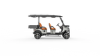 V4H Utility EV | 4-Passenger