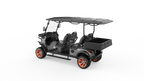 V4H Utility EV | 4-Passenger
