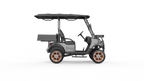 V2H Utility EV | 2-Passenger