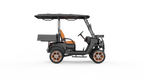 V2H Utility EV | 2-Passenger
