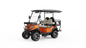 G2+2H Utility EV | 4-Passenger