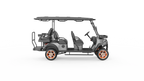 G4+2H Utility EV | 6-Passenger