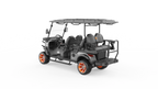 G4+2H Utility EV | 6-Passenger