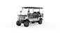 G4+2H Utility EV | 6-Passenger