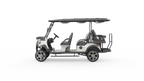 G4+2H Utility EV | 6-Passenger