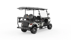 G4+2H Utility EV | 6-Passenger