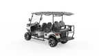 G4+2H Utility EV | 6-Passenger